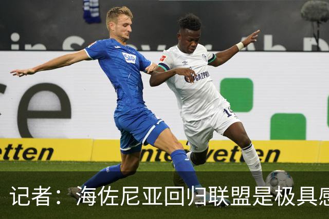 记者：海佐尼亚回归联盟是极具感染力的故事 证明扩军的必要性