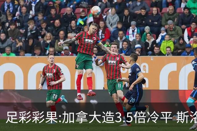 足彩彩果:加拿大造3.5倍冷平 斯洛伐克2-2黑山