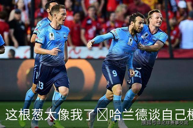 这根葱太像我了🤣哈兰德谈自己梗图：做得很棒，没什么好较真的